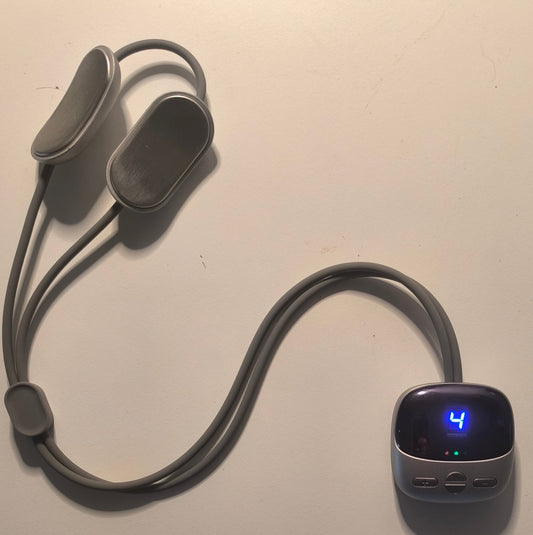 Portable Smart Warming EMS Massager