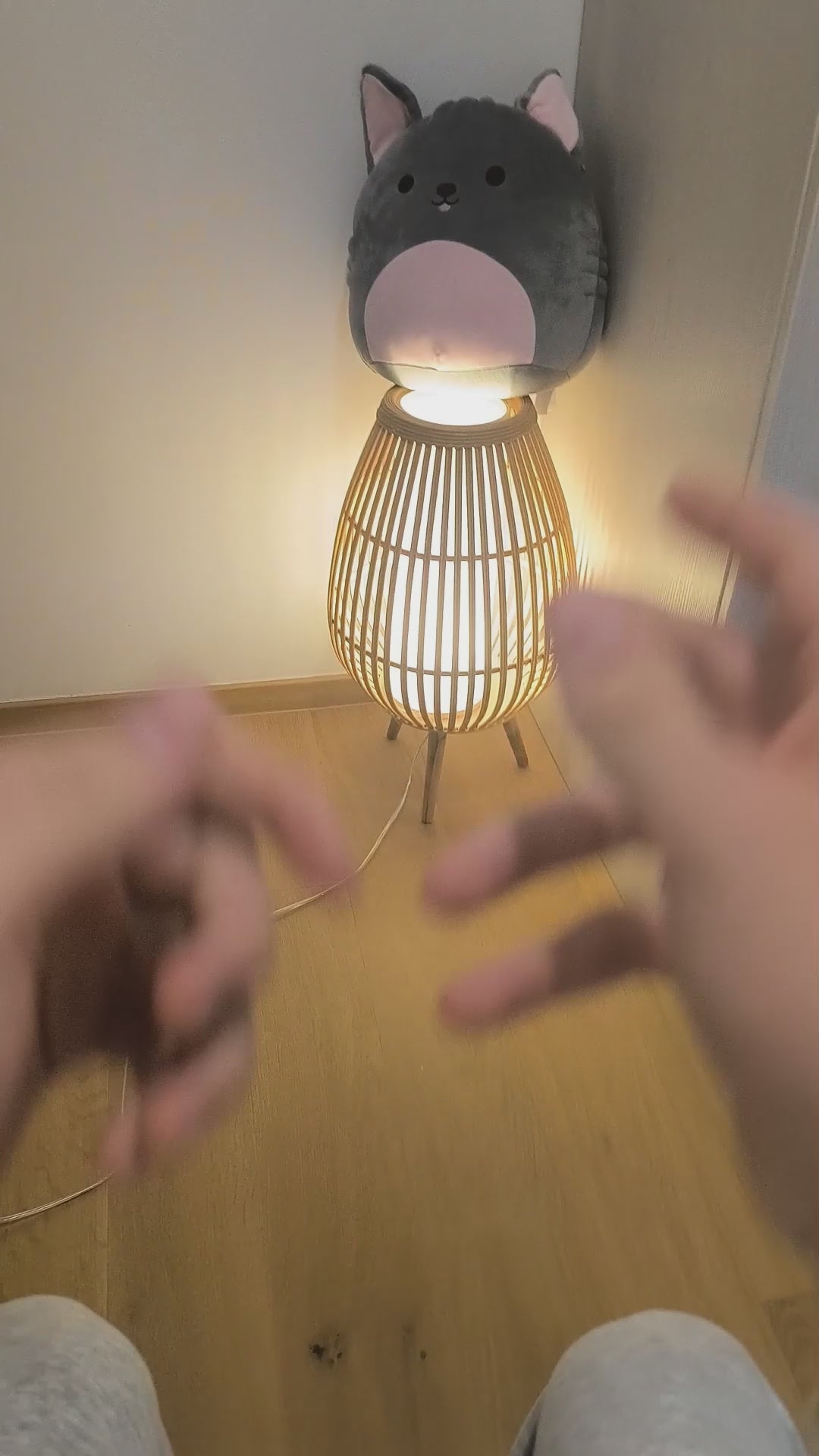 Load video: 